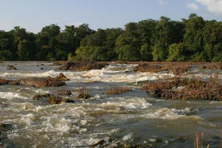 Descente du Maroni en Pirogue